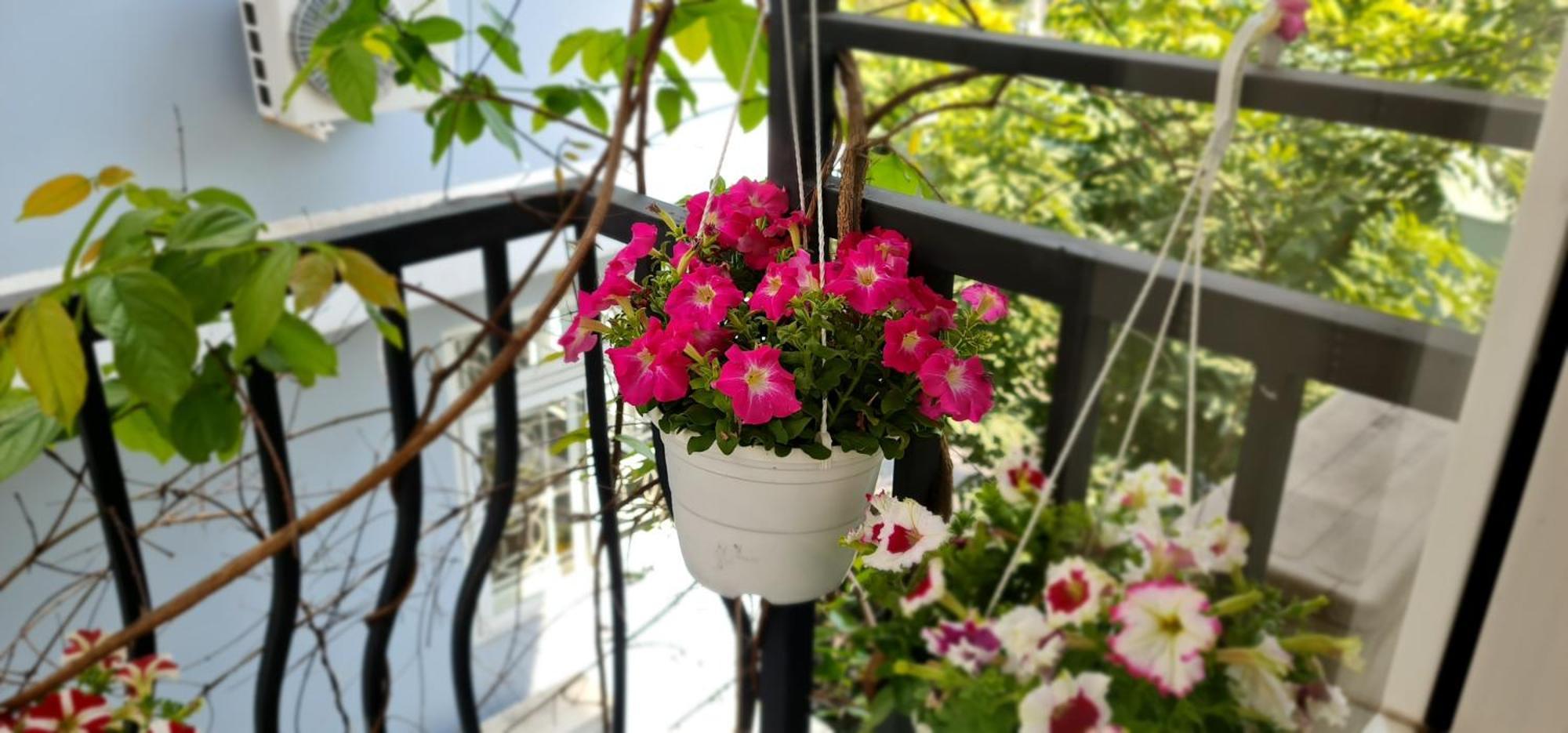 Spring Light Home مدينة هوشي منه المظهر الخارجي الصورة